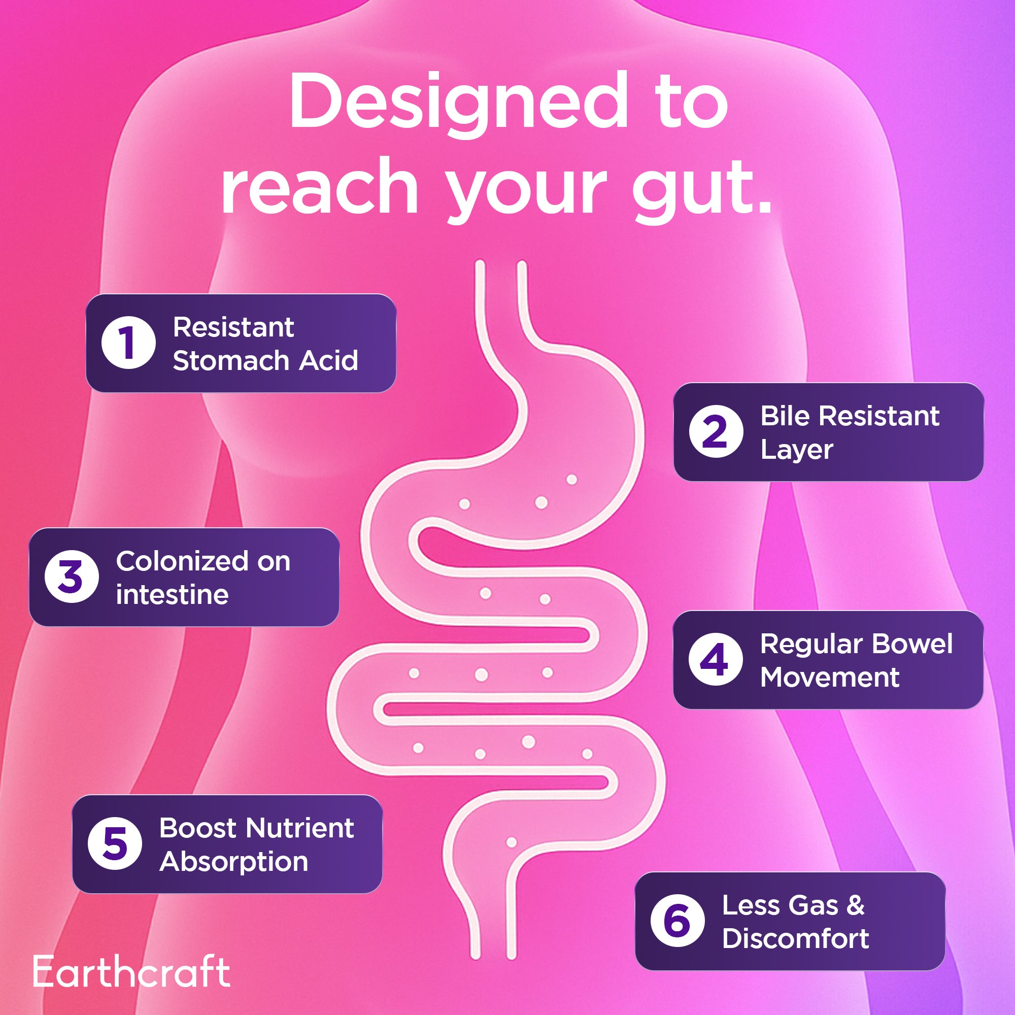 Womens Probiotic with Prebiotics